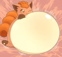 vulpix gorda