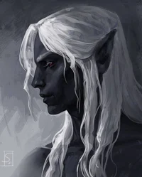 Dark Elf 