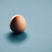 EGG