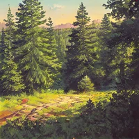 Northern forest
