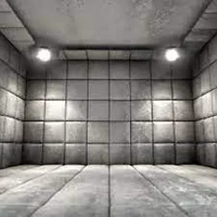 -ASYLUM NARRATION RP