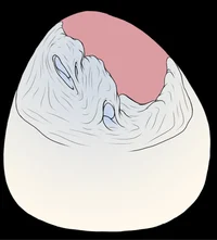 Your Melted Mate