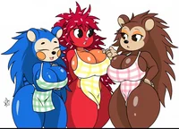 The Hedghog Babes tg