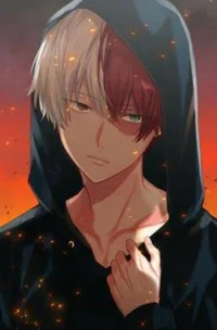 Shoto todoroki