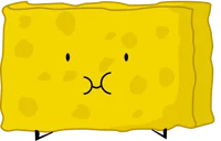 spongy