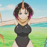 Elma GvK Ver