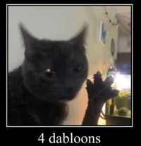 dabloon cat