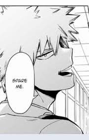 Protective Bakugou