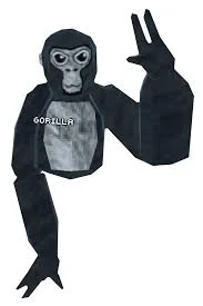 Gorilla Tag kid