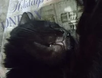 mif