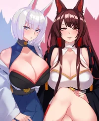 Kaga and akagi