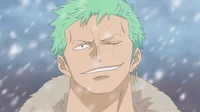 Zoro Roronoa