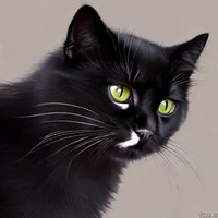 01-SOCIALS AND STUFF