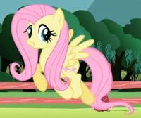 Fluttershy