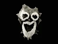 Brain Eating Amoeba 