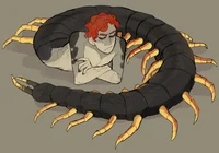 Male Centipede