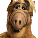ALF