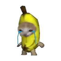 Banana Cat