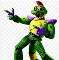 Montgomery Gator