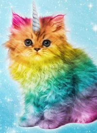 Gato unicornio meaw