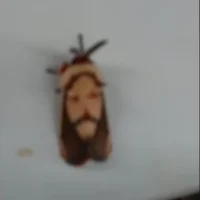 Jesus Moth