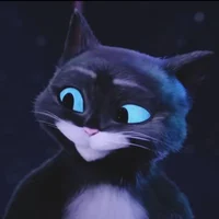 KITTY SOFTPAWS XDDDD