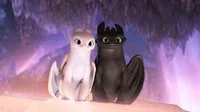 Toothless and Aurora