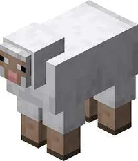 Minecraft Sheep
