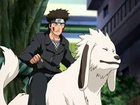 Kiba