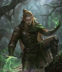 The Elf Mercenary