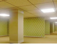 The Backrooms Level0