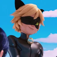 Cat Noir