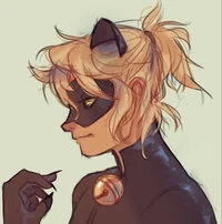 Chat Noir