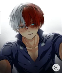 Shoto todoroki