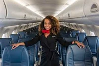 Flight Attendant 