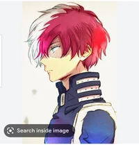 Shoto todoroki
