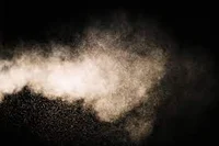 A speck of dust