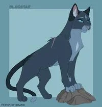 bluestar