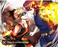 Todoroki_bakugo