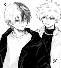 Bakugo and todoroki