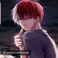 Shoto todoroki