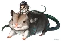 Mia the rat cult