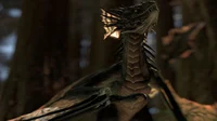 Female poison wyvern