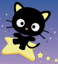 Choco Cat