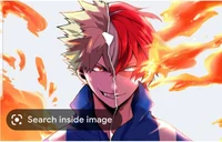 Todoroki and bakugo