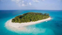 Stranded On a Island