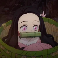 Nezuko 