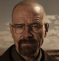 Walter White 