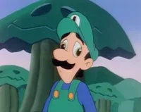 Stupid Luigi