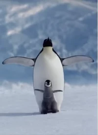 Penguin Swordsman